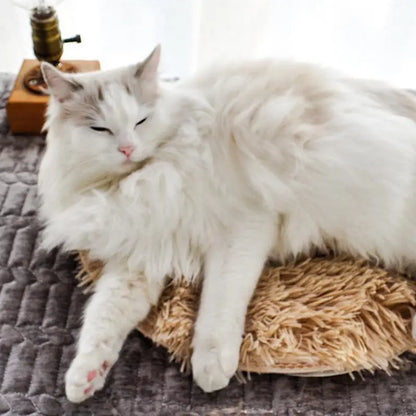 Anti-scratch cat blanket with heat function