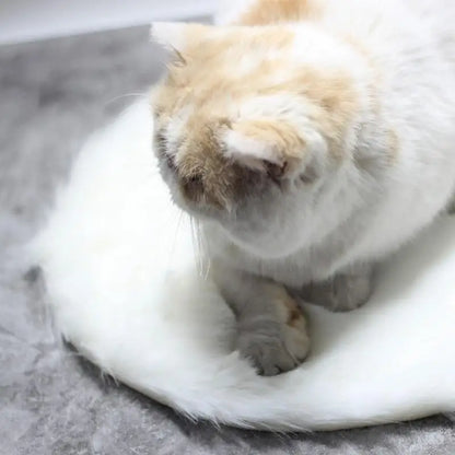 Anti-scratch cat blanket with heat function