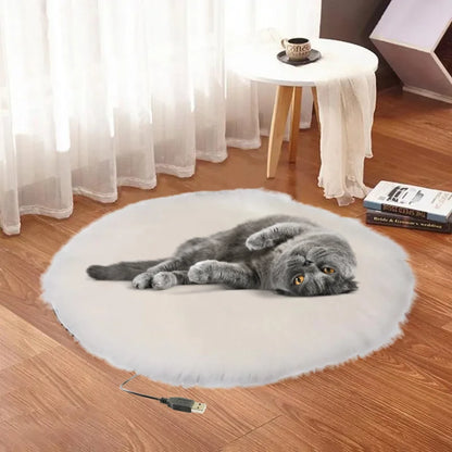 Anti-scratch cat blanket with heat function